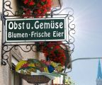 Bauernhof Kitz